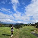 그린힐스 | 순천 파인힐스cc 라운딩 후기 | 코스 난이도 그린 상태 리뷰