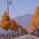 대암목장 이미지