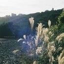 삼포가는길 이미지