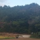 향림 흑염소 네이버블로그