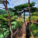 제241차 정기산행(옥정호 물안개길) 이미지