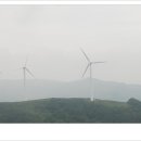 6월의 목장 네이버블로그