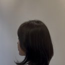 숨헤어 | 운정 야당 미용실 매트브라운 톤다운 염색으로 차분하게 정리한 후기 숨헤어 포레스트 아영원장