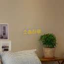 소솜,하루 이미지