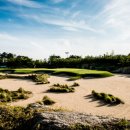 스카이앤오션 이미지