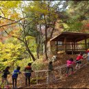 현대경복유치원 이미지