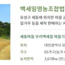백세밀영농조합 이미지