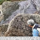 스트로마톨라이트 Daum카페