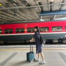 수연양계 | 찜, 만동제과, 모자호떡, 수제어묵고로케, 유성상회, 바로방, 서울양계, 레드망치, 르봉마젤, 기억스테이)