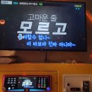 피그코인노래연습장 네이버블로그