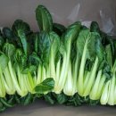 정주농장 이미지