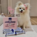 e-편한덴탈 | 강아지치석껌 너티 하루루틴 스트레스 제로껌 소형견껌 추천