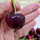 덕화 농장 이미지