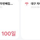 홀로서기 | 첫 홀로서기 도전기 그 후기