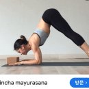 (주)마이메드 이미지