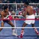 링맨복싱 이미지