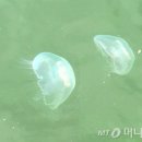 신인축산 이미지