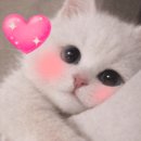 논현 노래연습장 이미지