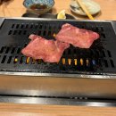 키와미 | 오사카 우메다맛집 고급 야끼니꾸집 "키와미 우메다점" 솔직후기