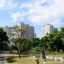 공도 걷고 싶은 거리 이미지