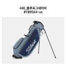 스태이인 이미지