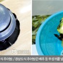 원주복추어탕식당