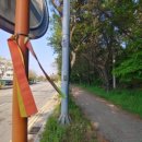 평택도곡초등학교병설유치원 이미지