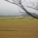 한밀지역아동센터 이미지