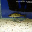 코리아농장 이미지