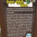 두률성 | 칠갑산(七甲山)-백리산,금두산,삼형제봉,장곡사, 칠갑산휴양림,천장호(1박2일)