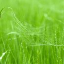 평사낚시터 이미지