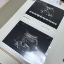투투 동물병원 | 임신 14주, 극심한 스트레스로 방문한 산부인과 (성별 못봤음)