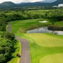 그린필드 이미지