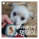 멍데이(meongday) | [내가가본여행] 영종도 강아지 수제간식/ 강아지 멍김밥 후기🐶