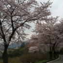 주산목욕탕 이미지