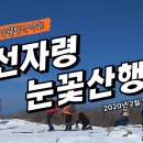 2020년 2월 1일 (토) 선자령 눈꽃산행 다이제스트 영상 이미지