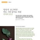 표고프레스 이미지