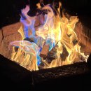 가시머뭄 이미지