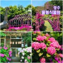 초록마을광주양산점 | 경기도 광주 가볼만한곳 율봄식물원 수국축제 주말 나들이 추천