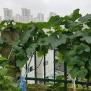 여남경로당 이미지