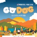 산다래 | 영월 토종다래 샘말농원 제철과일 내돈내산 후기