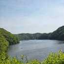 충북 진천 농다리 축제, 미르숲 출렁다리 방문후기