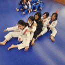 튼튼합기도 이미지