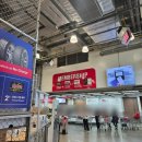 양재별하 | 평일 오후 <코스트코 양재점> 쇼핑 후기 할인템 추천템 두바이 스프레드는 없음