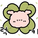제일의상실 이미지