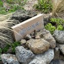 소제목 스테이 이미지