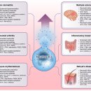 중성구 elastase와 alpha-1 antitrypsin의 조화 관점의 enzyme 탐구 이미지