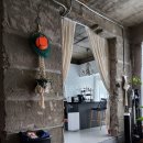 달시플러스 이미지