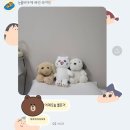 테라스뽑기방 이미지