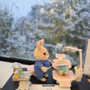 연세닥터주치과의원 이미지